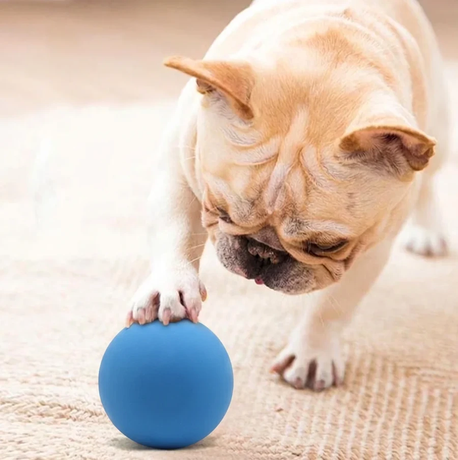 Silicone dog toys