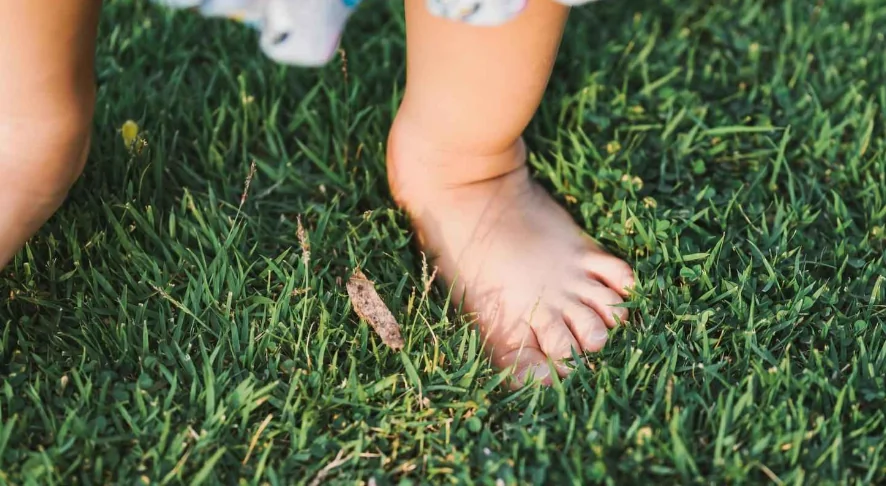 Baby feet on grass